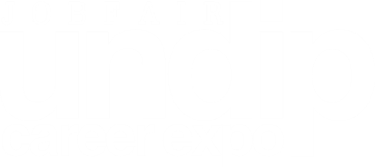 UNDIP Career Expo